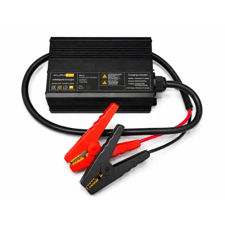 LiFePO4 50A Charger for 12.8V Lithium Batteries with Clamps