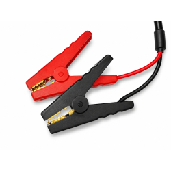 LiFePO4 30A Charger for 12.8V Lithium Batteries with Clamps