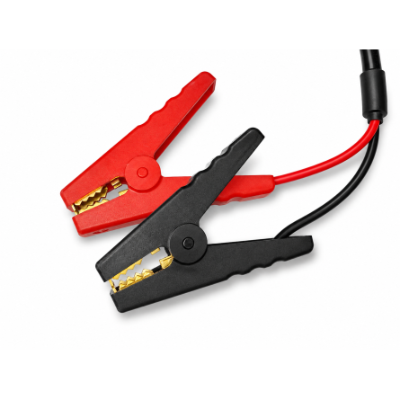 LiFePO4 30A Charger for 12.8V Lithium Batteries with Clamps