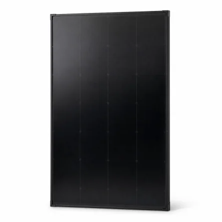 Rigid 200W Monocrystalline Solar Panel