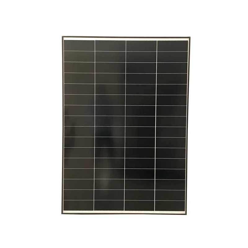 Rigid 170W Monocrystalline Solar Panel
