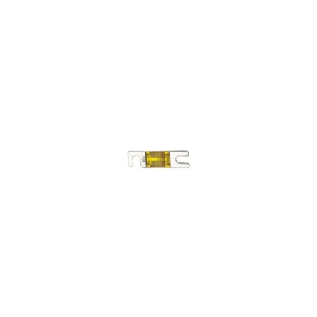 Victron Energy MIDI-fuse 100A/58V (1 pc) (CIP133100010)