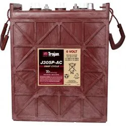 Battery Trojan J305P-AC