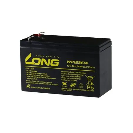 Lead-Acid AGM Battery 12V 9Ah LONG WP1236W