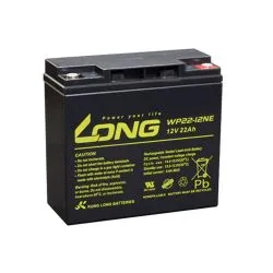 Lead-Acid AGM Battery 12V 22Ah LONG WP22-12NE