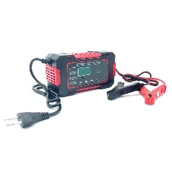 Smart Charger 12V 6A for Lead Batteries