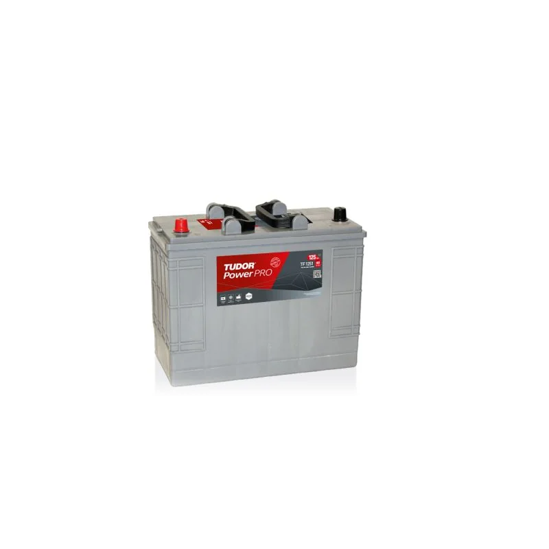 Battery Tudor TF1251 125Ah