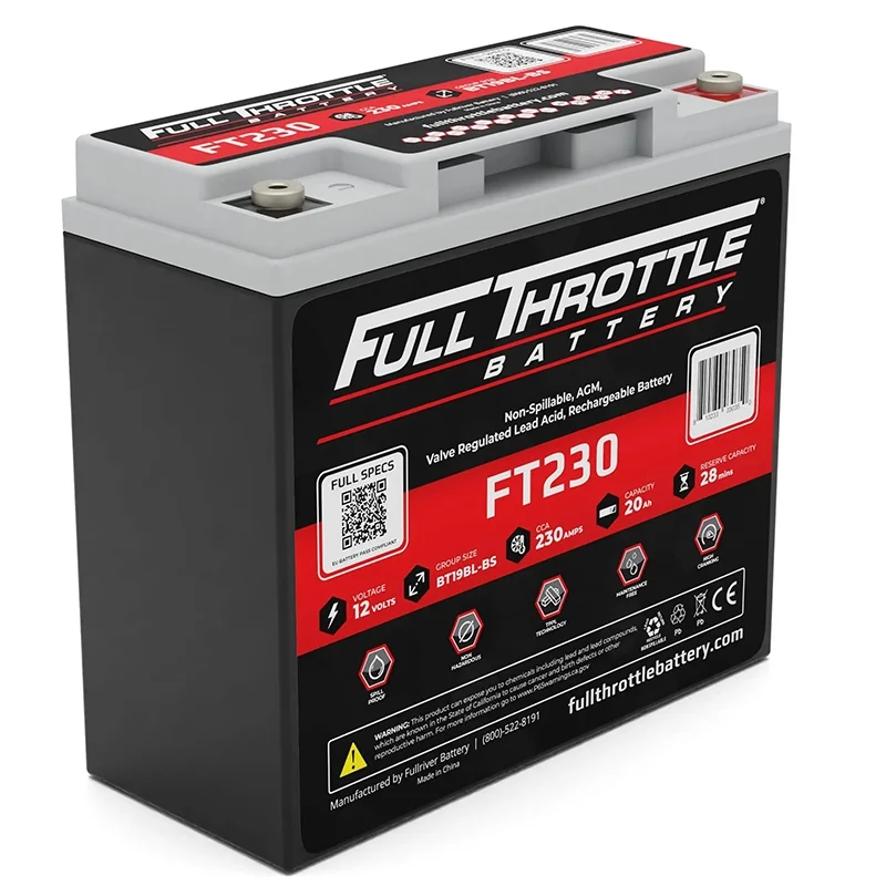 Lead-Acid AGM Battery 12V 20Ah Fullriver FT230 Booster