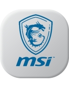 Batteries for MSI